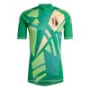 Camiseta de fútbol Portero Bélgica Euro 2024 Verde - Hombre